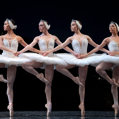 The Swan and the Dying Dancer