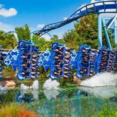 Best What Are Some Fun Things To Do In Florida Tours Reviews