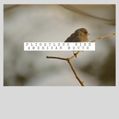 Flightless Bird, American Mouth (Iron & Wine Acoustic Cover)