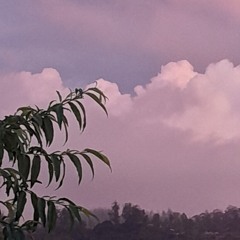 flora-4.wav