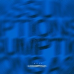 assumptions hoodtrap remix