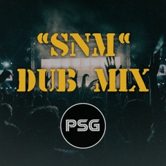 SNM DUB LIVE MIX|| PURE SOUND GENERALS|| AMAR ARSHI|| SHABBA RANKS 2021 LATEST MIX
