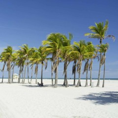 Florida Breeze