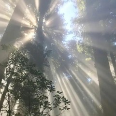 rick owen boots(prod. by ozi)#;