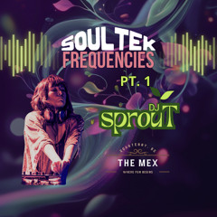 2025 - Live - Pt. 1 - SoulTek Frequencies
