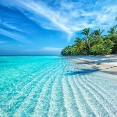 SHLD - TESTED APPROVED X TRUSTED X SWEET LOVE - [REGGAE REMIX].mp3