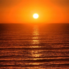 Mon oasis_Vol 7_Joé Dwet Filé + 30 minutes d'ambiance