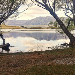 shroom season - the rev remix