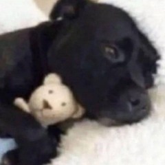 CBZL-Love Me To Death