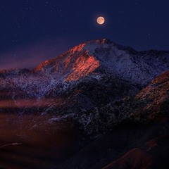 Shamrock Mix 3-17-21