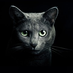 ATSH - Tinh Dau Qua Chen Remix by G-Wuyin