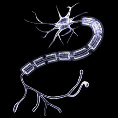 best thing thats cool beat to that one song, feel like parasite
