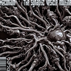 Méconium - The Synaptic Vesicle Routine [out 26/01/2023]