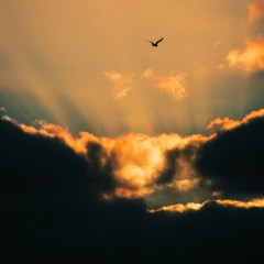 Sound and Moods - Orchestral Compositions