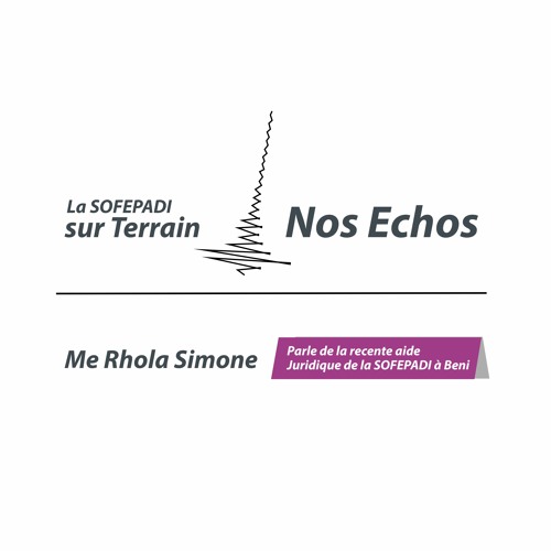 Nos Échos: Me. Rhola Simone en point sur la récente aide juridique ...