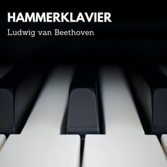 Piano Sonata N. 29 in B Flat Major, Op. 106 "Hammerklavier": Allegro