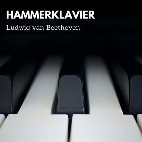 Piano Sonata N. 29 in B Flat Major, Op. 106 "Hammerklavier": Allegro
