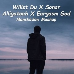 Alligatoah X Eargasm God - Willst Du X Sonar (Manshadow Mashup)