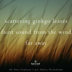 Ginkgo [naviarhaiku423 - scattering ginkgo leaves]
