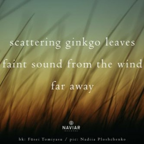 Ginkgo [naviarhaiku423 - scattering ginkgo leaves]