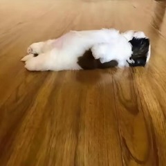 01 REC-2025-01-30 i need to be honest and clear..wav