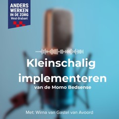 Afl.2 Kleinschalig implementeren van de Momo Bedsense met Wirna van Gastel