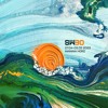 Crihan @ SW30 DJ mix artwork - Electronic music tracklist cover image
