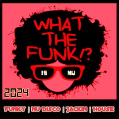 Funky & Disco House Mix ⭐ What the FUNK is NU?! ⭐