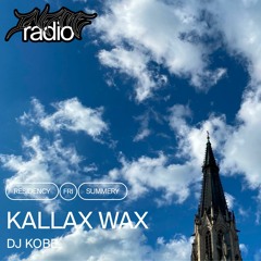 Kallax Wax 004