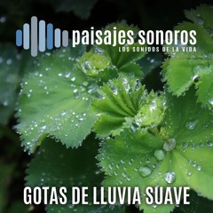 Gotas de Lluvia muy Suave