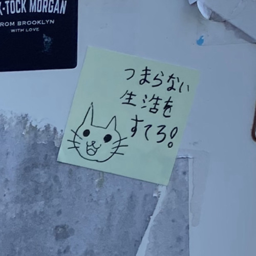 tusk(prod.BENZTRACKZ)