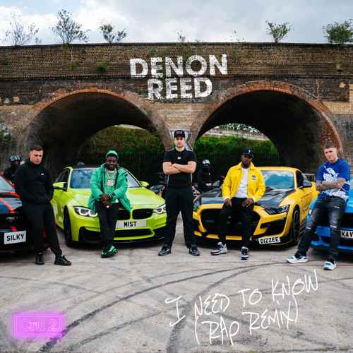 I need to know (Silky, MIST, Dizzee Rascal, KAV Remix) [feat. Cru2]