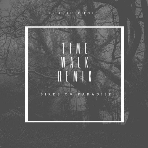 Cedric Bonfi Birds Ov Paradise Time Walk Remix By Cedric B O N F I