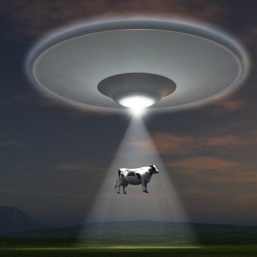 Weird..weird...weird