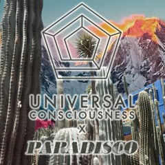 Universal Consciousness x Paradisco Dec '21