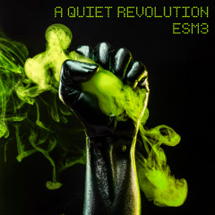 A quiet revolution (original mix)