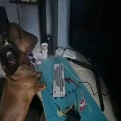 кому не насрать на SoundCloud ЪЭ+Alabaster pithed up jerk+swag remix картель вызван