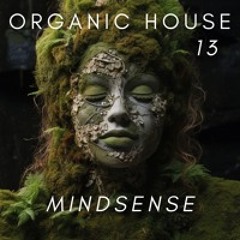 ORGANICAMENTE 13 - Mindsense