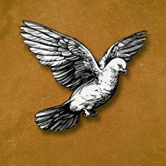 (FREE FOR PROFIT) "Fly Away" NF Type Beat