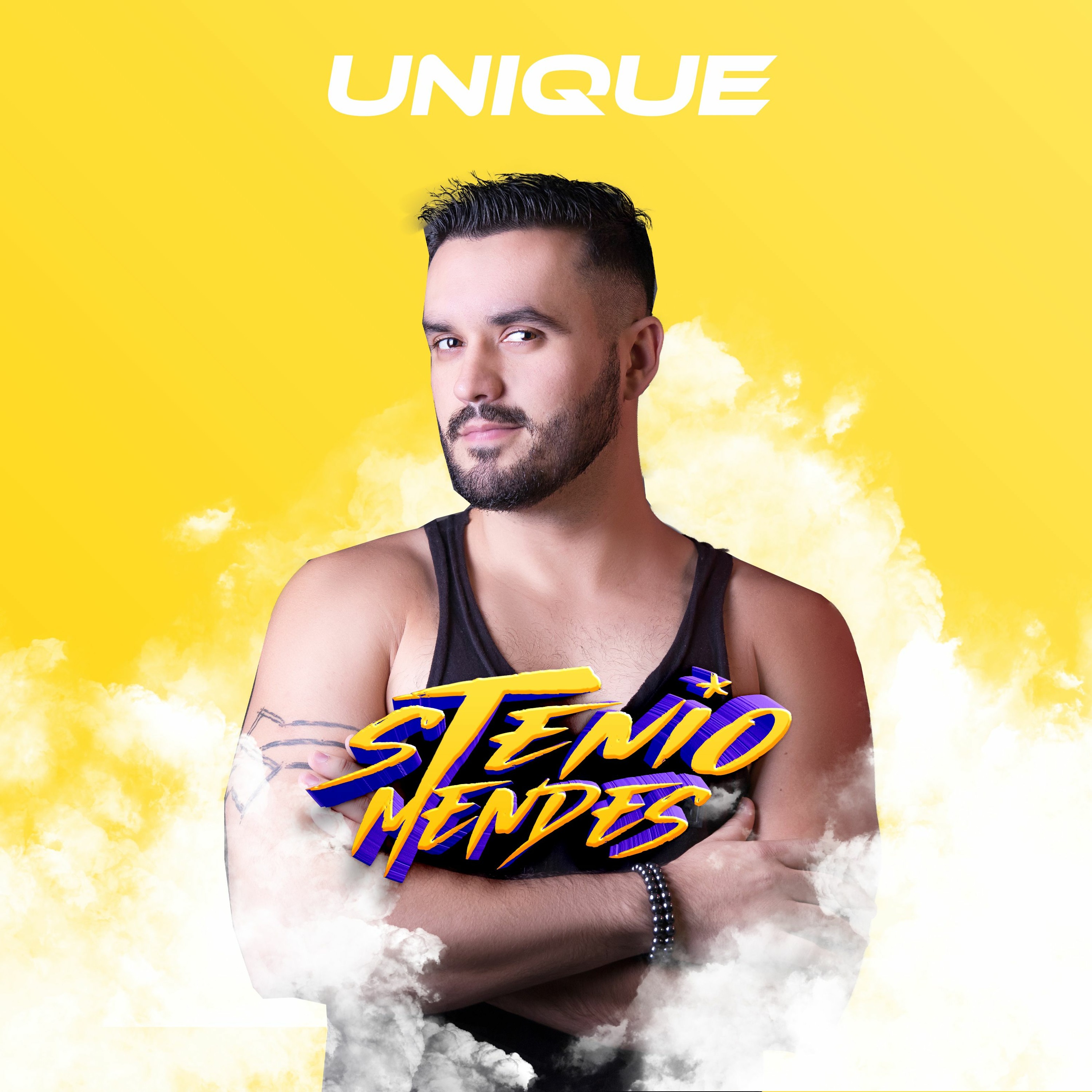 Stenio Mendes