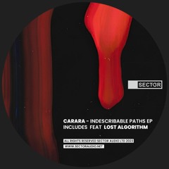 Carara - Modern Dynamic You See Nothing [SECTOR003]