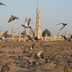 مديح للسيدة آمنة أم النبي بالمدينة المنورة