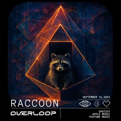 Raccoon