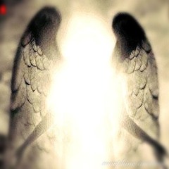 пустынный.ангел +Fennu