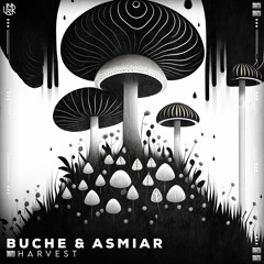 Buche & Asmiar - Harvest [UNSR-193]