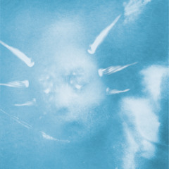 Krushak @ 𝔣𝔬𝔯𝔢𝔳𝔢𝔯 𝔣𝔯𝔬𝔷𝔢𝔫, Czasoprzestrzeń Wrocław 28.06.25