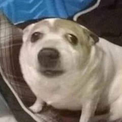 Trivecta & Nurko - You Can Be My Light (ft. Monika Santucci) [Clark remix] Free FLP