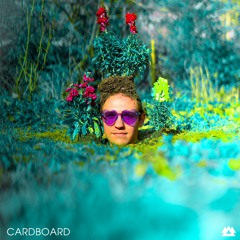 Toadface - Cardboard [Headbang Society Premiere]