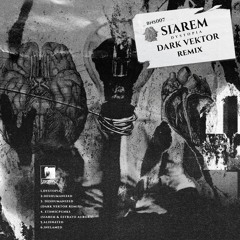 2.SIAREM - ALIENATED
