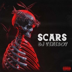 DJ Viniboy - Scars